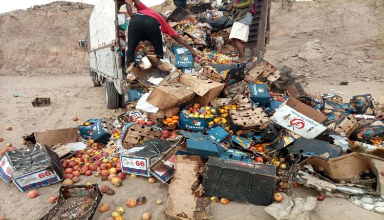 بتوجيهات ومتابعة اليزيدي.. صحة البيئة بالمنصورة تتلف 20 طنا من الفواكه الفاسدة وغير الصالحة للاستهلاك البشري