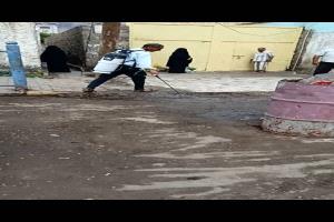 حملة رش ضبابي لمكافحة الحشرات الناقلة للأمراض في مديرية التواهي