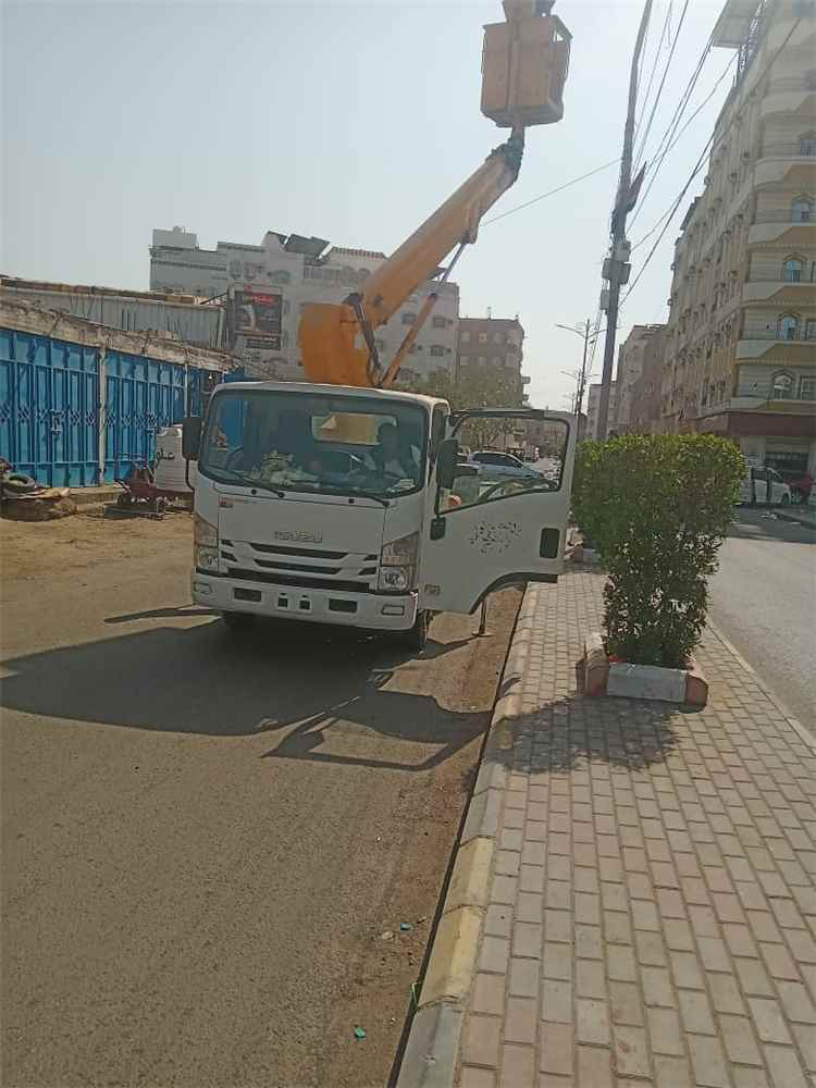 بتوجيهات اليزيدي.. المنصورة تعيد تأهيل 40 عمود إنارة مزدوج من تقاطع القاهرة حتى شارع التسعين